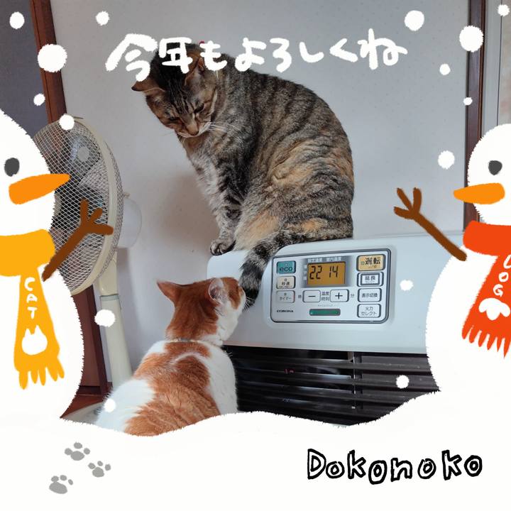 8fef23d5 4340 45b6 8ff2 e1b32583c1e6 1704076895549