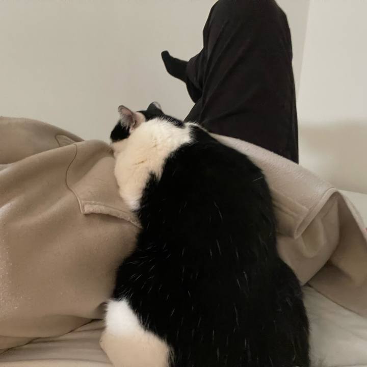 8fef6a58 16ef 4a76 bc90 ad395413abf9 1679895079346