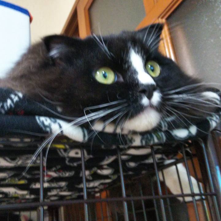 8fef8159 fd40 44f4 9299 62b6017e6c64 1665318629955