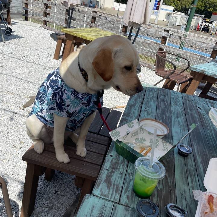 8fef83ab f32b 4afb a76e b0dd90be7f1f 1649235520073