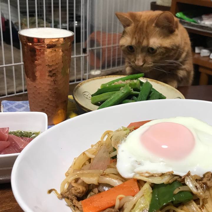 8fefd16e 16d4 43e9 bf9b f10617f79c5c 1541674672642