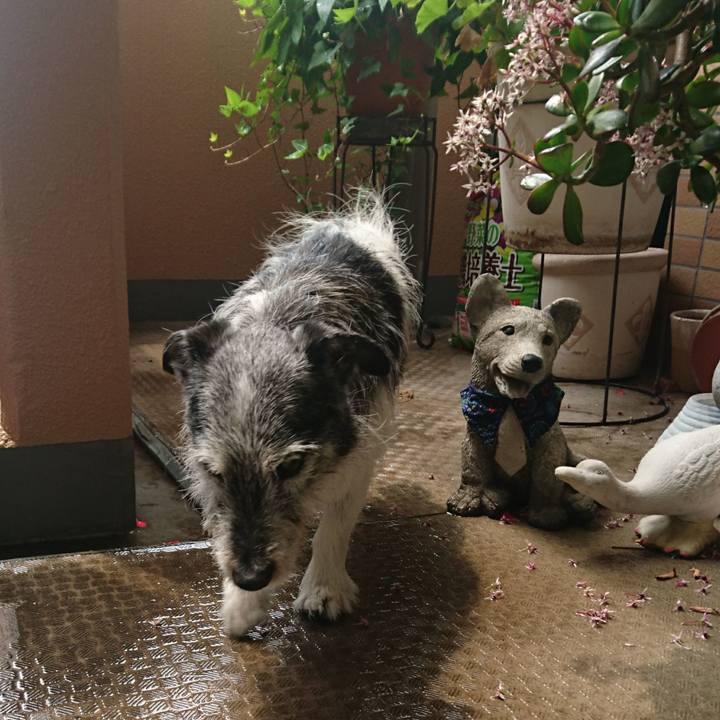 8fefdd38 6eeb 48d7 9377 47cbfb672d37 1540424454152