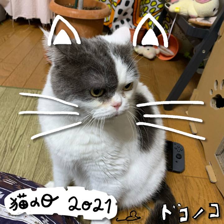 8ff01331 123c 49bb 8f33 e997eeb84deb 1613965012003