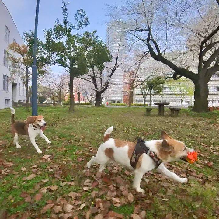 8ff02fc5 75bf 4d07 ad98 d576964a1658 1712765830522