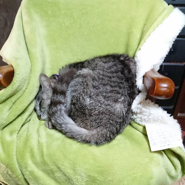 8ff04f2b b3e7 47b6 baff f9868acc76b3 1589234298725