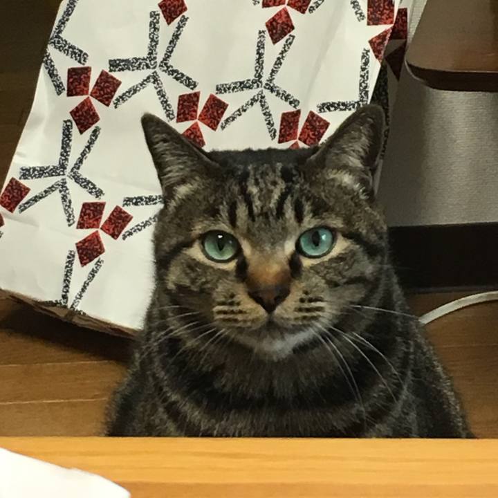 8ff04f58 9249 4e47 a85b cdf1affbc71d 1517554523128