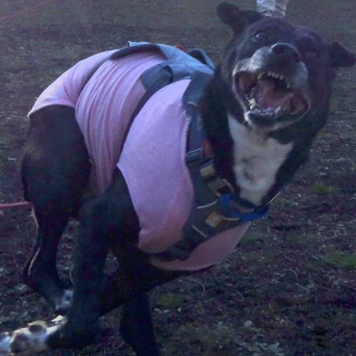 8ff0622d fd2b 4ba0 b883 a46726720979 1710120774017