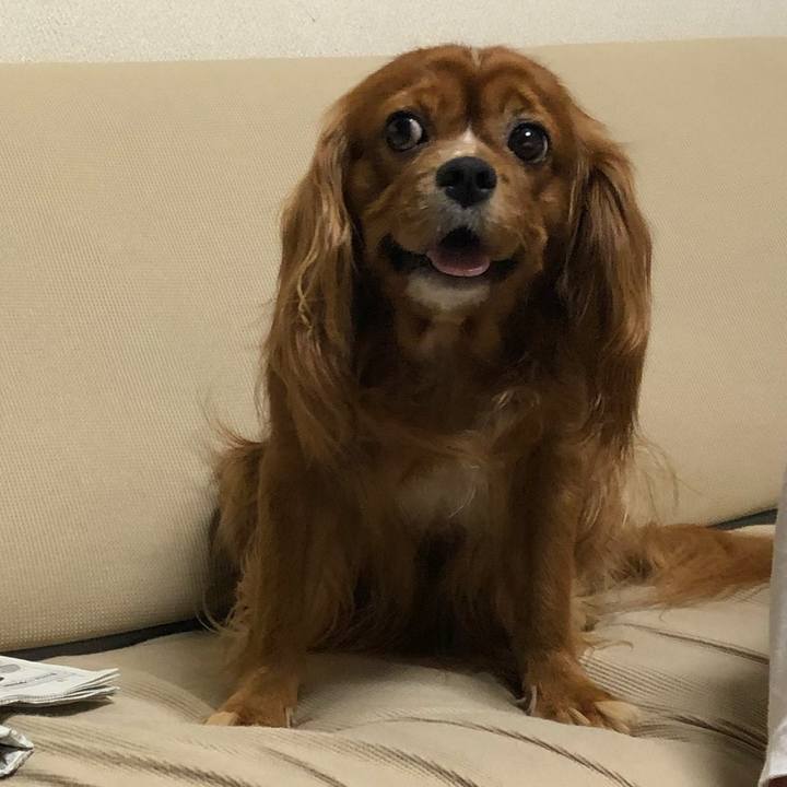 8ff14ff6 492d 4d68 ab5f e9d98e6a132c 1599224802661