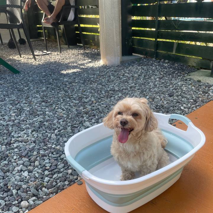 8ff1813f fab9 4de9 a5d8 54b9def1e6ee 1753400759544