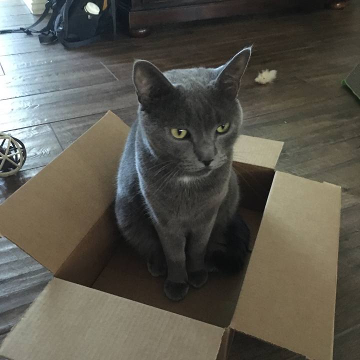 8ff1ad79 f914 4ffd bd79 3142fa7f50f9 1668439639894