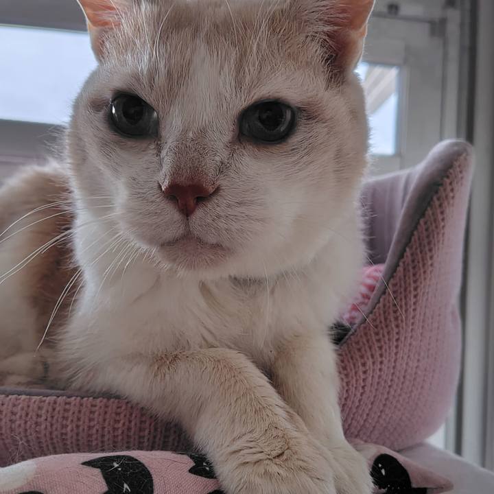 8ff25414 66a9 40ac 8809 6d4782e9f243 1744672639583