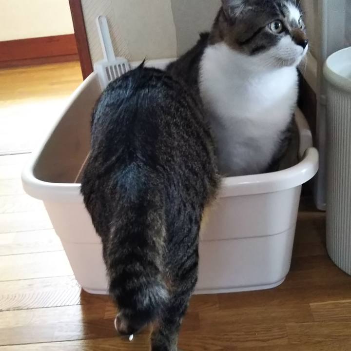 8ff28b6f 6acf 4d2c 8021 a04dc166e8d0 1686836331203