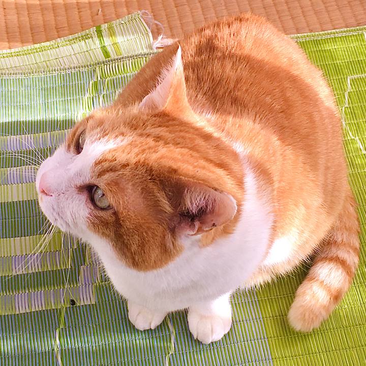 8ff2a4a2 f827 4acd 8d1d 696dbbf80d23 1615272727252