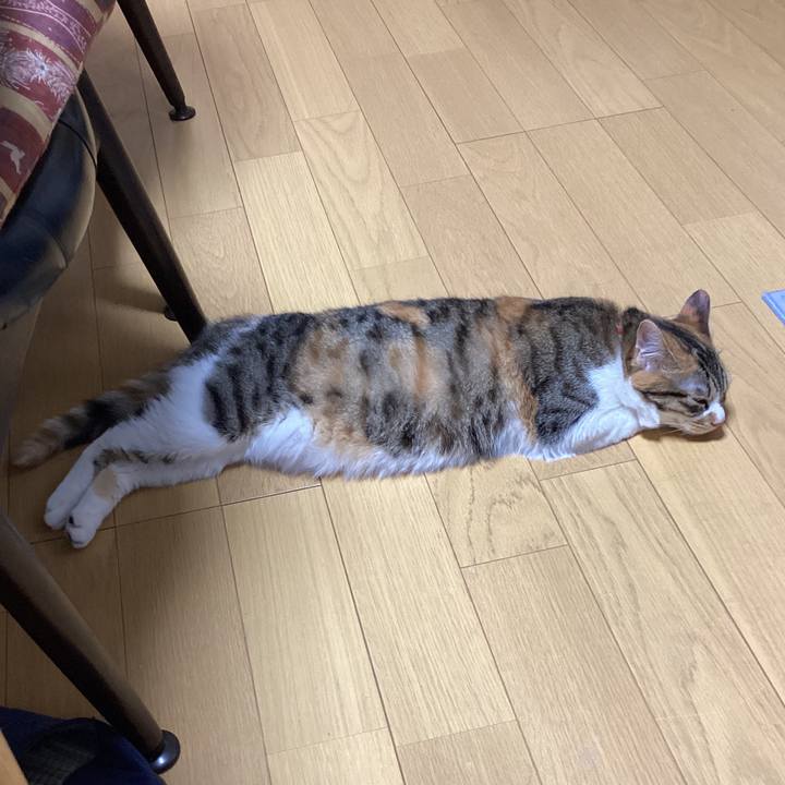 8ff2e850 d678 4de8 84ba 73946635cfd6 1649845362775