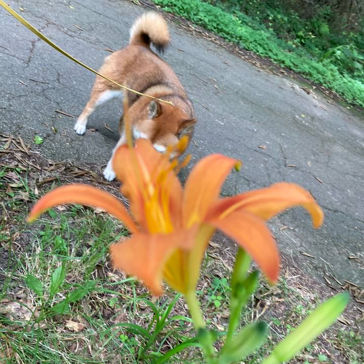 8ff2fa73 9eef 46cb 948f a07fcc45c13a 1656043247820