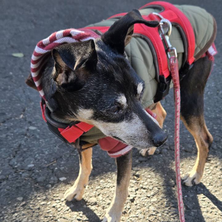 8ff376c1 c19d 4de5 8090 a617deb519c1 1769648769899