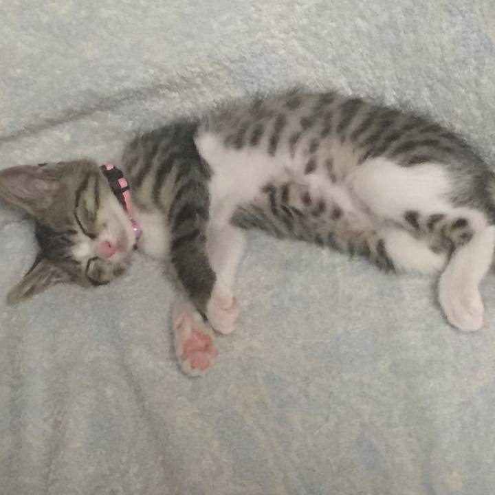 8ff38215 0617 423d a942 ab866a9667c3 1656031325823