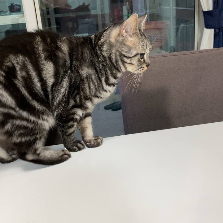 8ff38369 2f86 4ddc 8e10 08f17bf6f78f 1638312963074