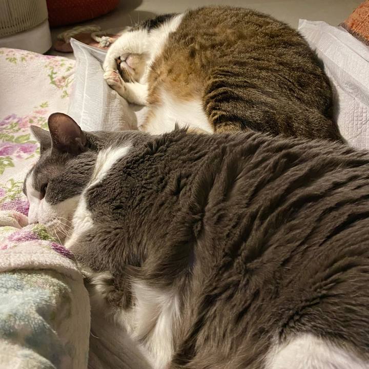 8ff39e07 a2ab 4a20 b638 cf0f0aace68b 1766847644298