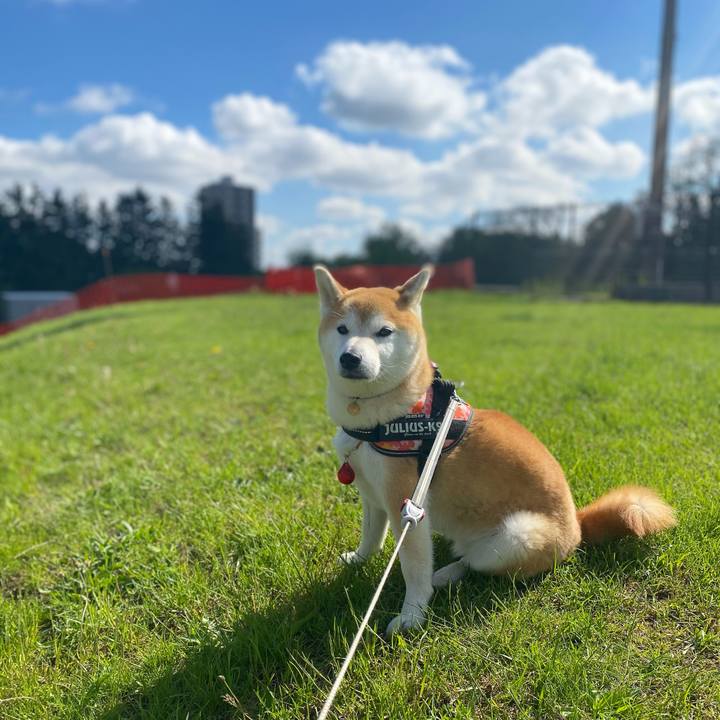 8ff3cbd0 57e1 4bd7 bb5b 0b6659aede31 1622507804982