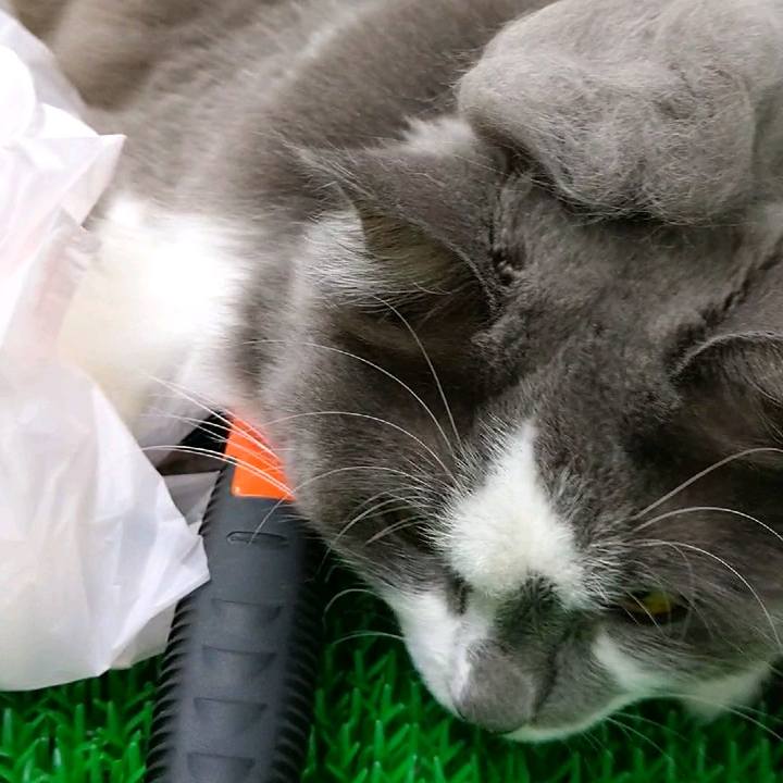 8ff3e687 6802 4c45 800c 210d8db37ead 1595474179875