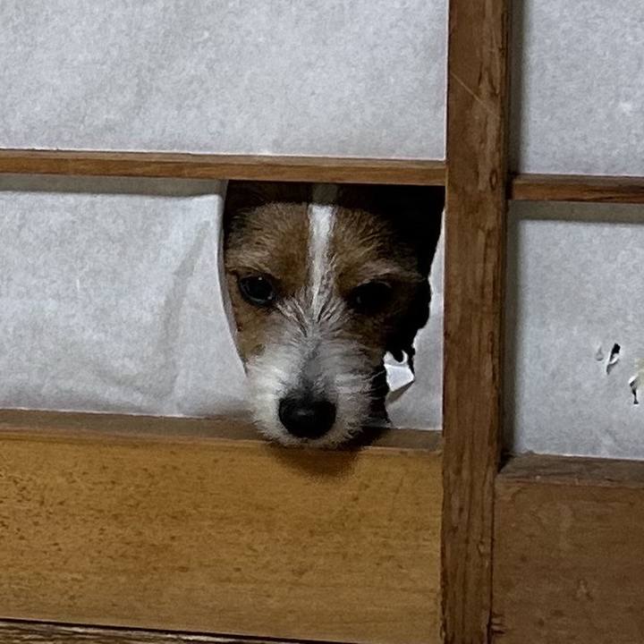 8ff4170d feea 4ce3 8d75 5933df68a31a 1765525674144