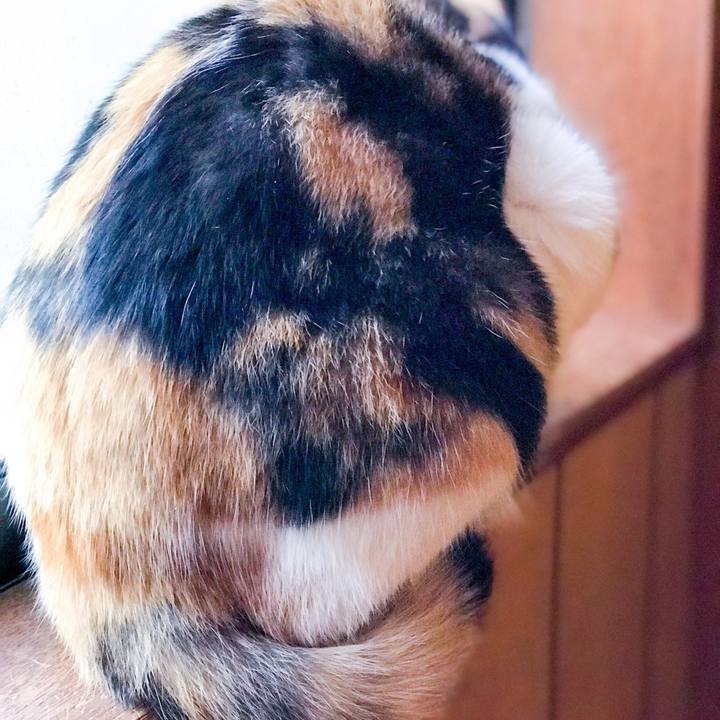 8ff44d01 dcc1 432b 9345 3596539494a9 1510100368701