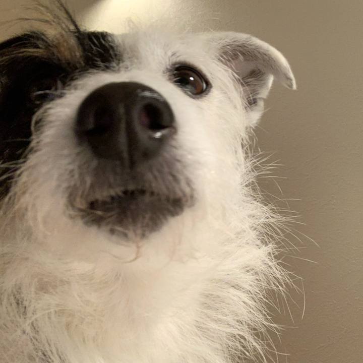 8ff44f9a d927 4eeb b8ce 25417521426a 1582886249524