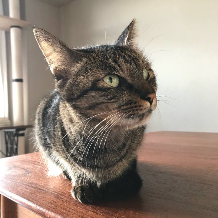 8ff49dd3 4db7 4eab 94db a1fa4e649e23 1762744571301