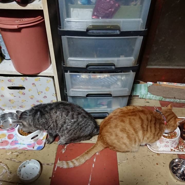 8ff4f9cd 75b3 4b57 aa9d 61917317d0db 1571860363637