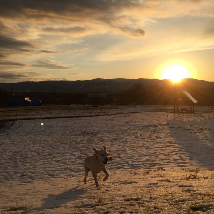 8ff54e9f d6b2 4421 95fe 7a792b643691 1512861719548