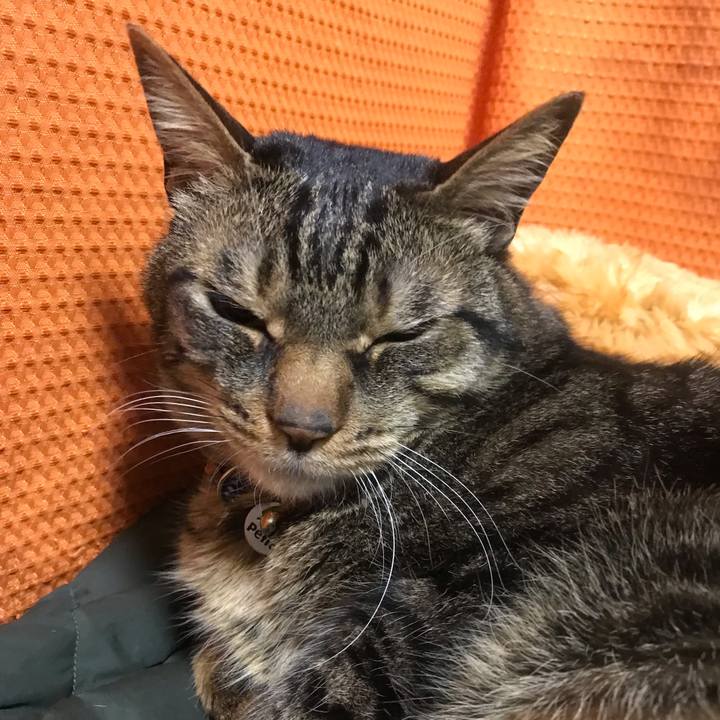 8ff55eca e02c 4e55 8d8f 562ab304a9b5 1646917088224