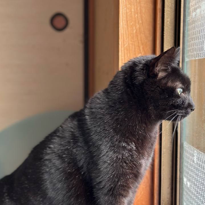 8ff57f88 cee0 4c3e 8eba 7a3d7eb60b8a 1675734254468