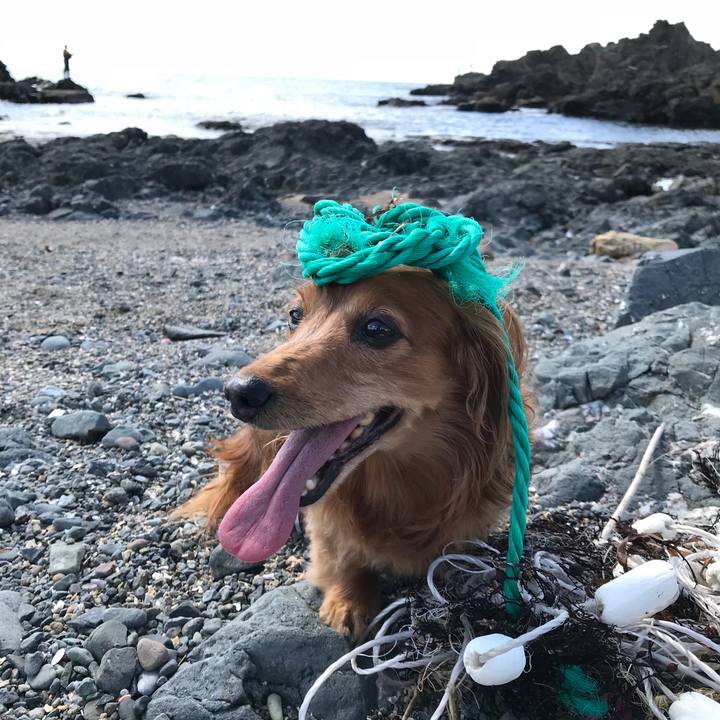 8ff586ed 260b 40ec 9d23 cec359e5a6db 1537669567111