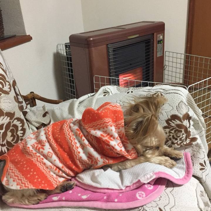 8ff58d9c 4d37 4652 9b7c 791ffb0e72c0 1547116078508