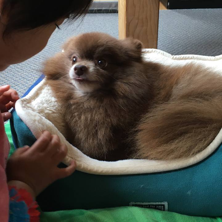 8ff59915 c127 4166 8ece f574ecd38140 1531050572237