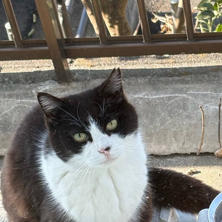 8ff5ac2c 032c 45a5 9c78 d28caa6c61a1 1774081256896