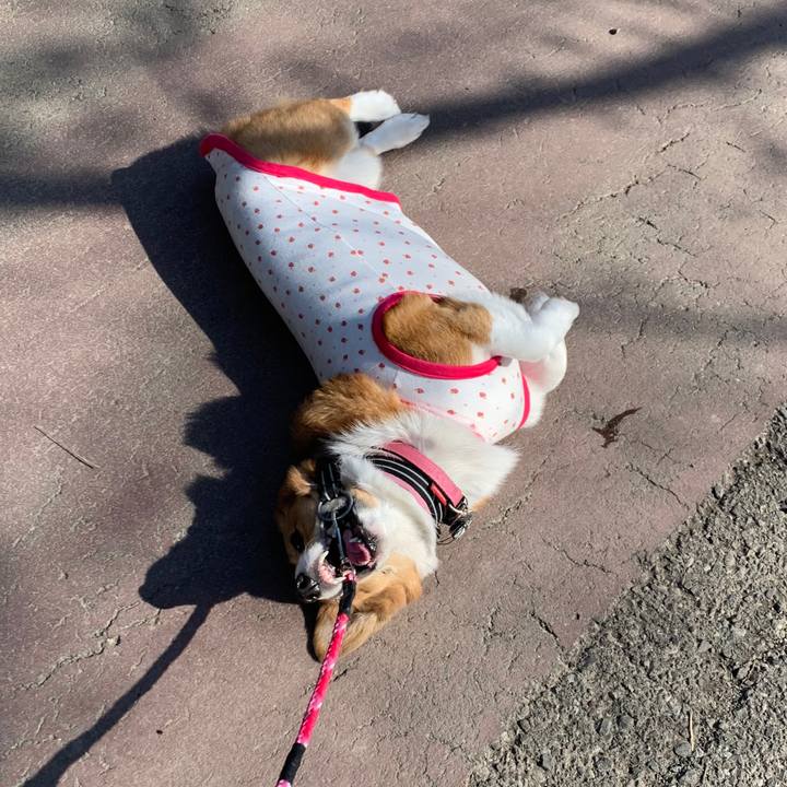 8ff5b7e7 6a65 435d b448 aa49e9117cae 1584603703261