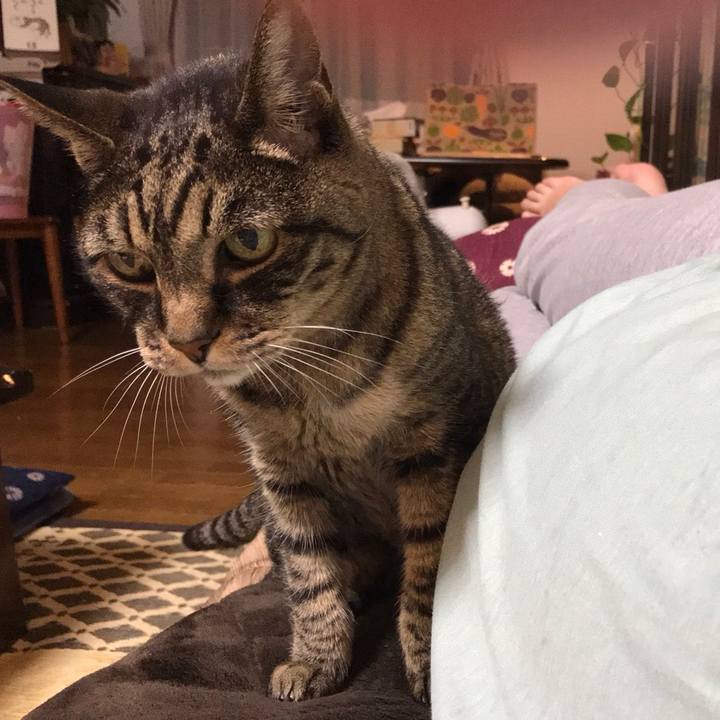 8ff5d2d5 dbb0 41bb 8752 29c8140c1f17 1534496046332