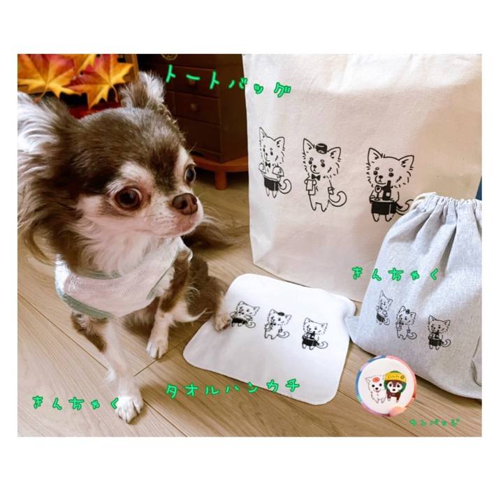 8ff5ffae 4d7a 4efa aabd eeb4c4a2b64e 1636798070729