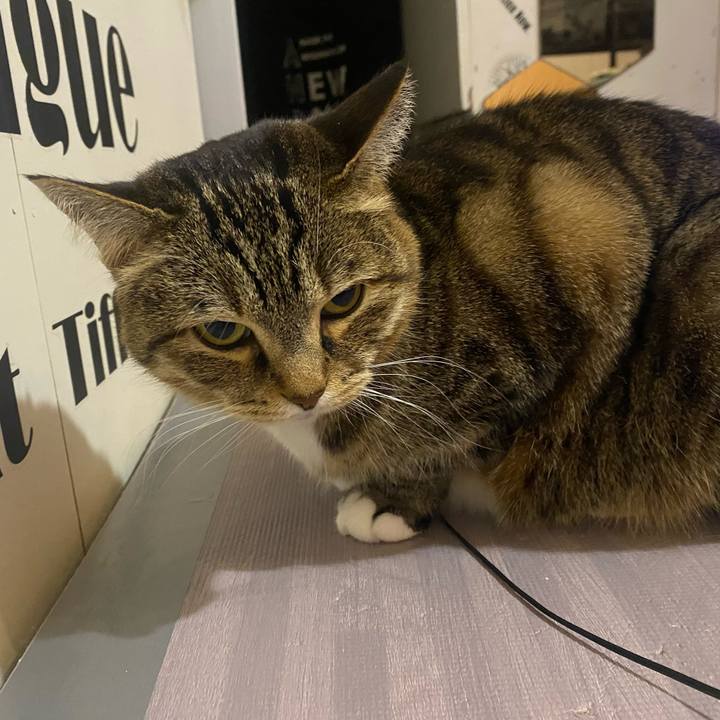 8ff60834 63df 4f94 bd08 90eedf1ae5ac 1644755664219