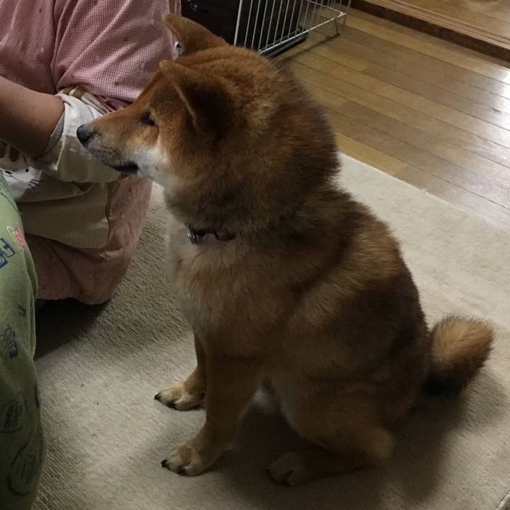 8ff64b9e 8ee0 4308 a520 103c46701c28 1524759739429