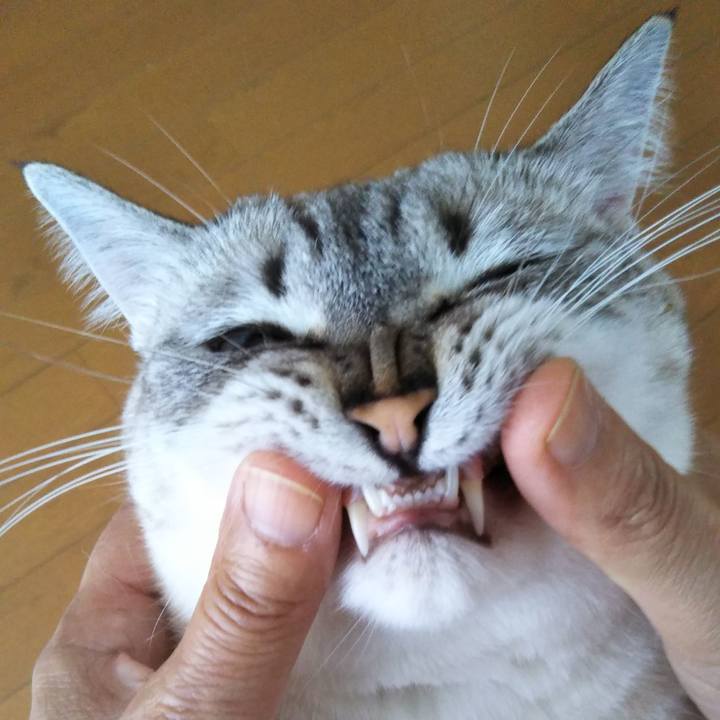 8ff68956 71d6 4b7f 9f41 ade33e77080b 1538191045508