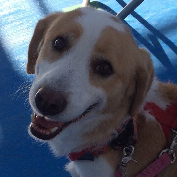 8ff69e04 a97e 4a89 94b5 b440f231ed0b 1512653007896