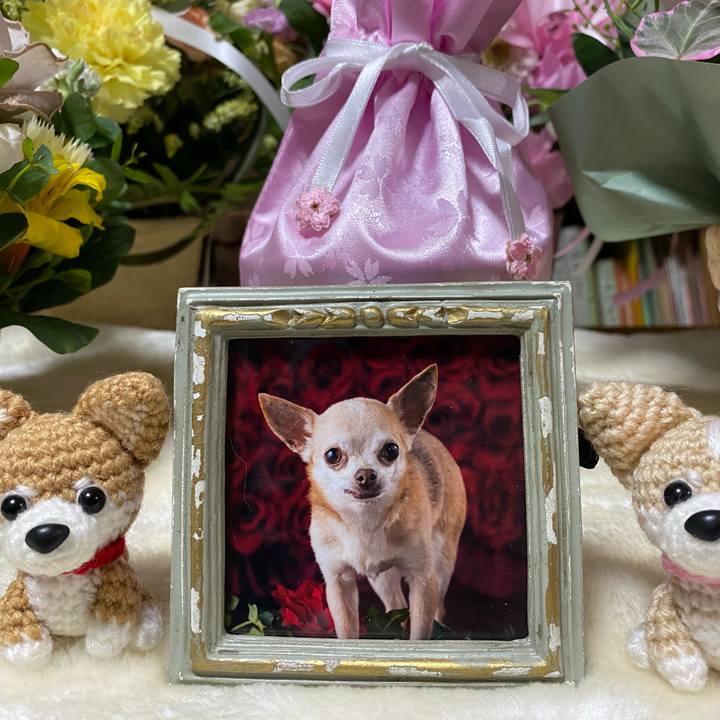 8ff6ac0d 31db 4a03 81c0 85be53977144 1675850247122