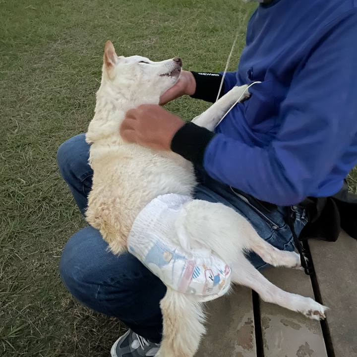 8ff6b729 e19c 4031 be4f 0e2d064fae57 1665491064425