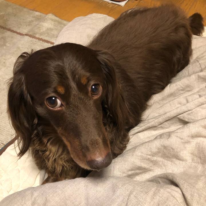 8ff6bd5f b29e 49a6 be6c 654de3a64c56 1683547074414