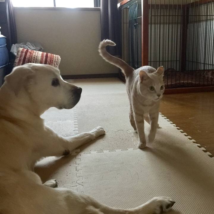 8ff6c8ce 7af9 4a4c 8713 867dbe8ce29f 1521155903980