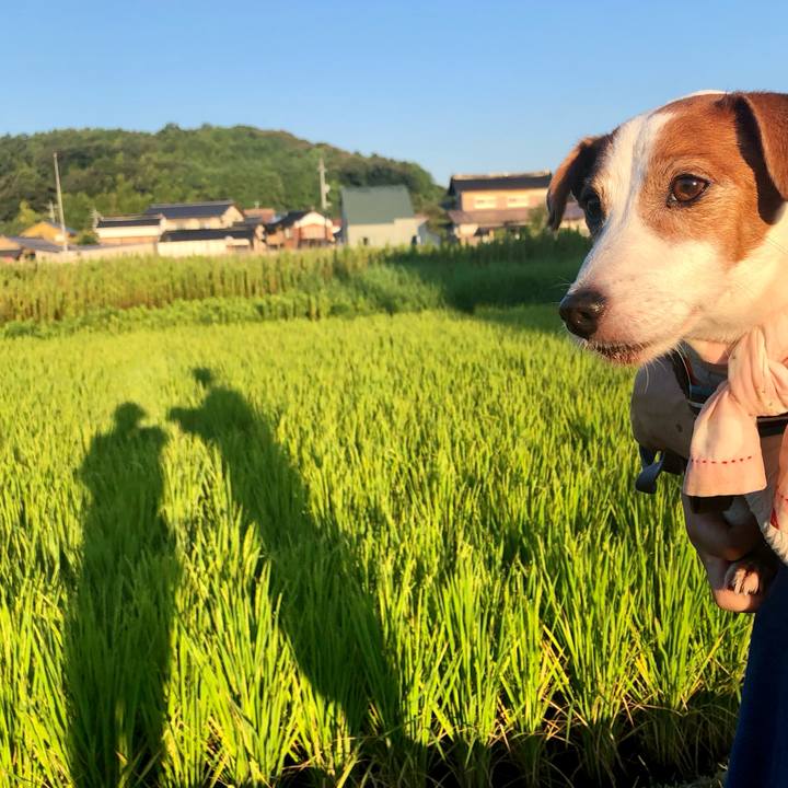 8ff6e07b ab90 4e75 b3f6 c00e1b2ec931 1724747158951