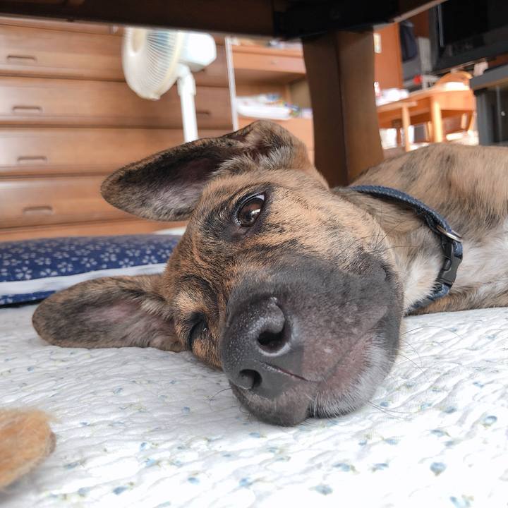 8ff74d90 8518 4252 ba4b 749ade1d88e0 1570686166913